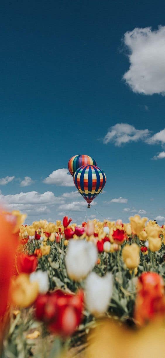 80 Spring Aesthetic Background Pictures » Lady Decluttered