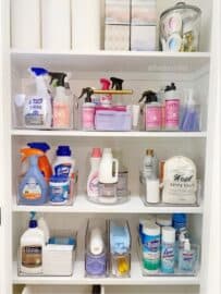 20 Brilliant Utility Closet Organization Ideas » Lady Decluttered
