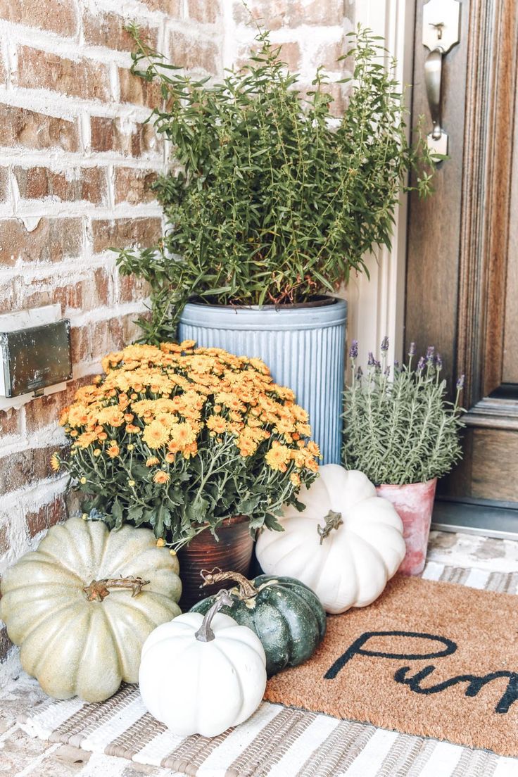 18 Mums and Pumpkins Front Porch Decor Ideas » Lady Decluttered